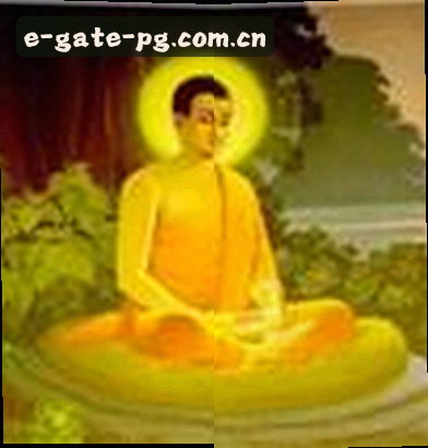 刘娜